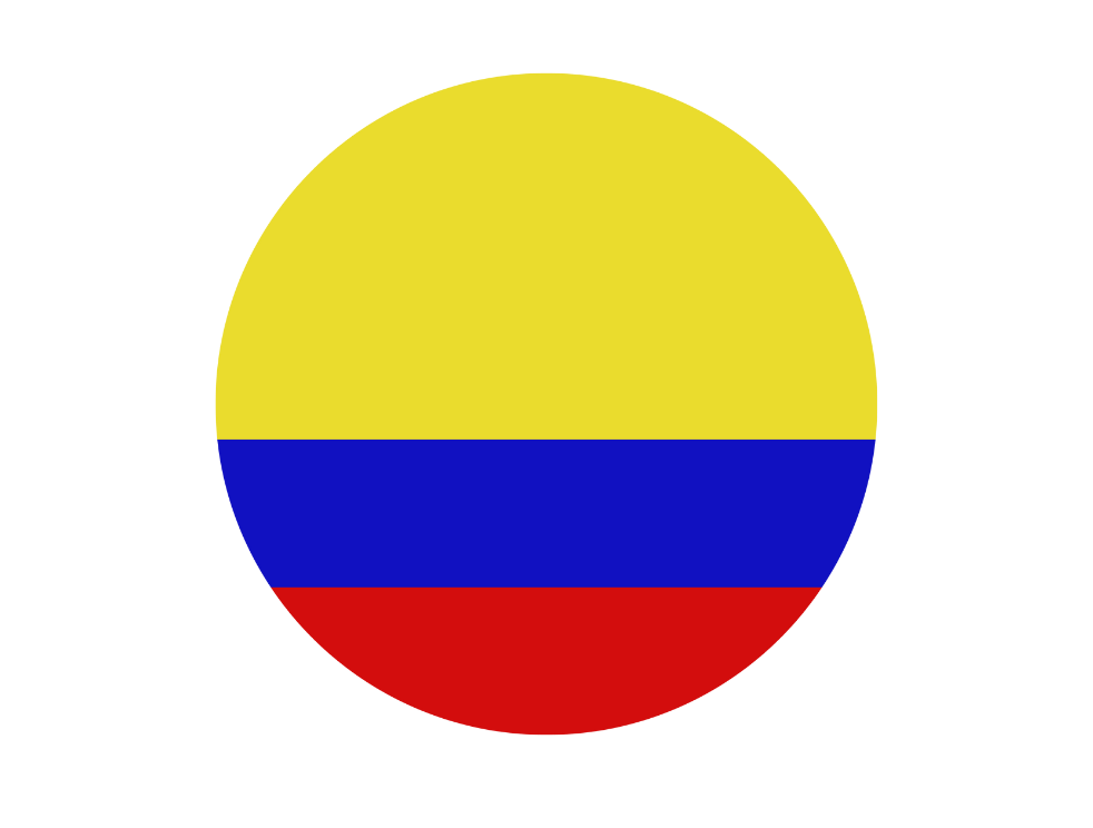 Bandera país 7