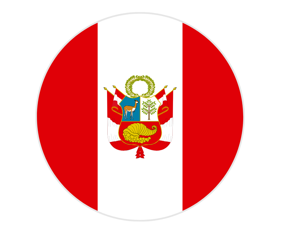 Bandera país 4